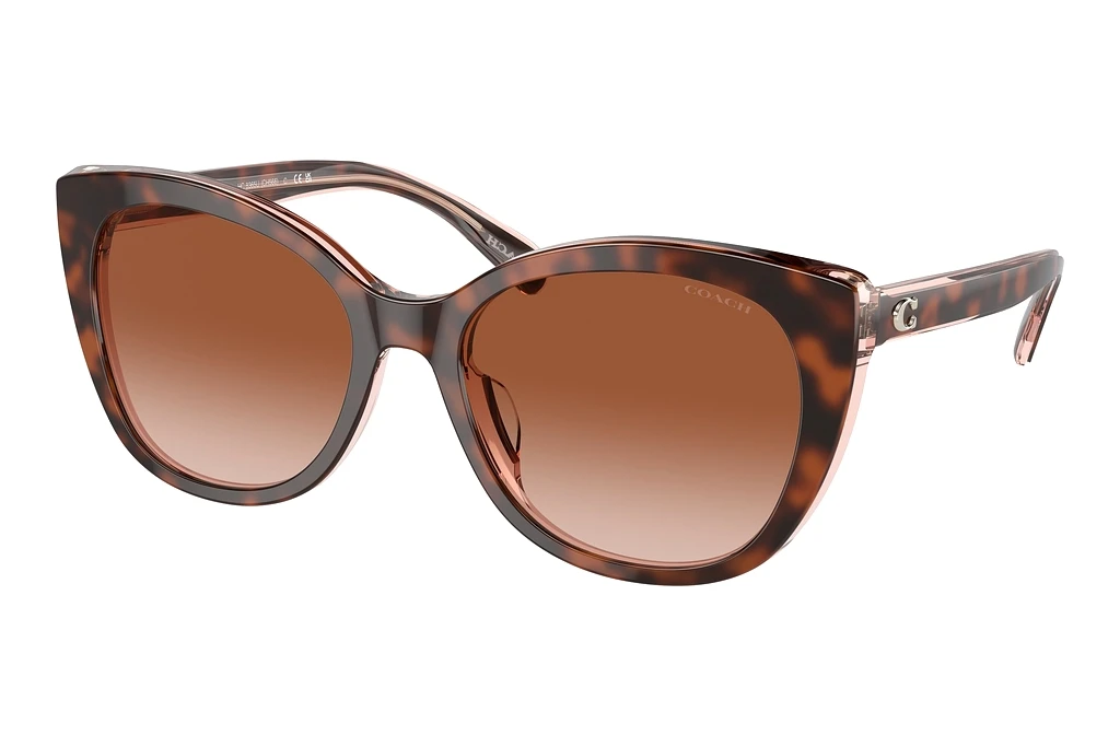 Coach   HC8365U 574413 Brown Pink GradientTortoise/Transparent Pink