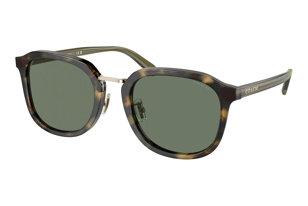 Coach   HC8366 53243H Solid GreenTokyo Tortoise