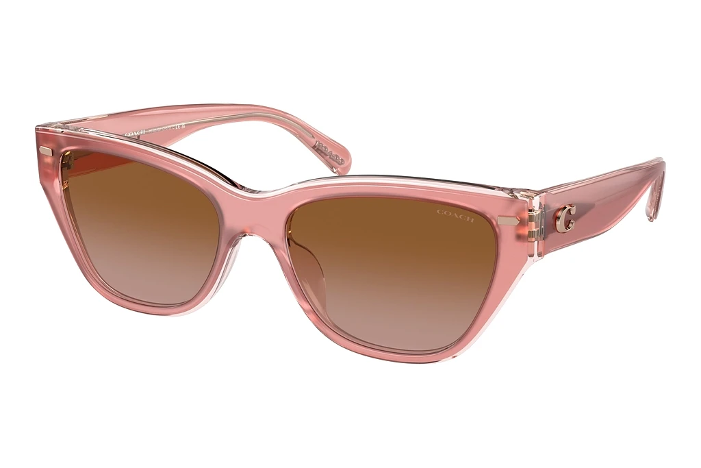 Coach   HC8370U 574313 Brown GradientMilky Pink/Transparent Pink
