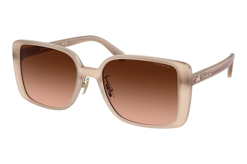 Coach   HC8375 57475M Brown Peach GradientMilky Ivory