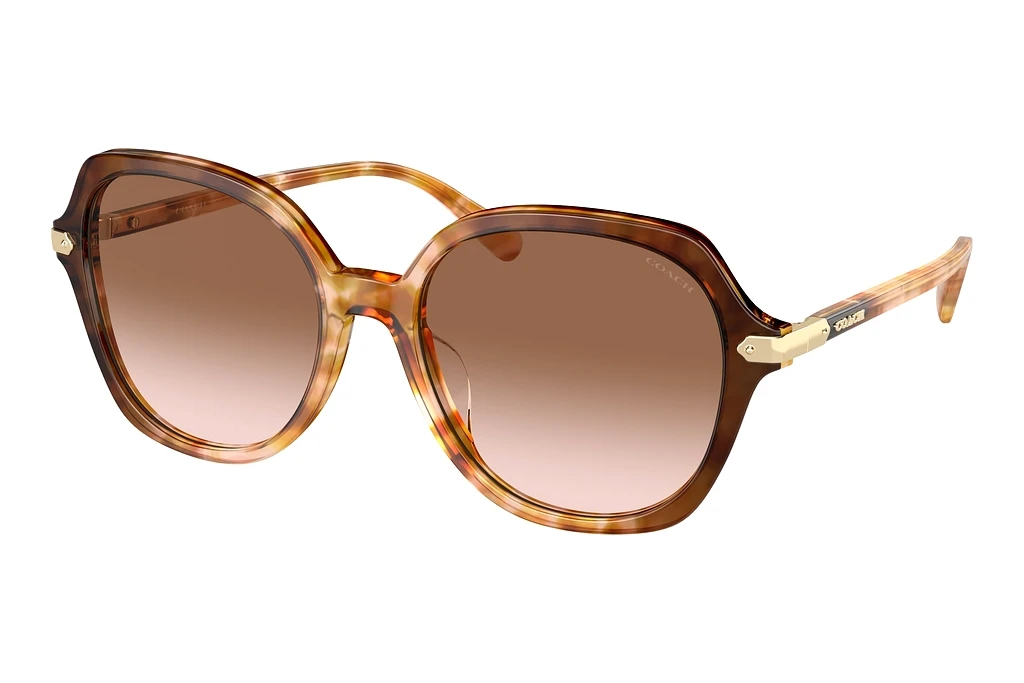 Coach   HC8377U 57753C Brown Pink GradientCaramel Snow Tortoise Gradient