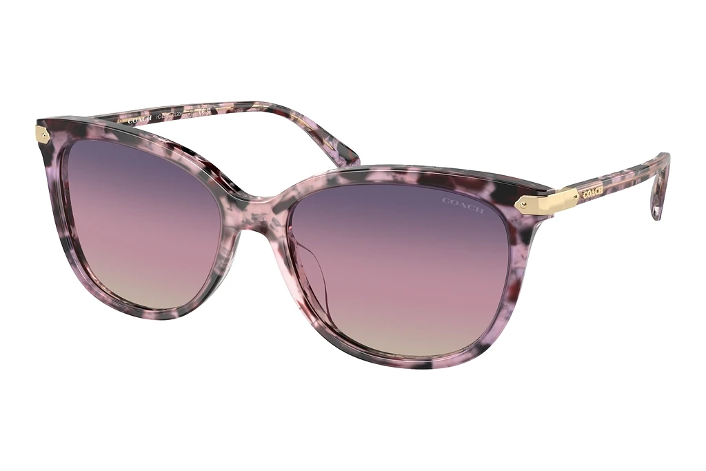 Coach   HC8378U 5777U6 Purple GradientIris Tortoise
