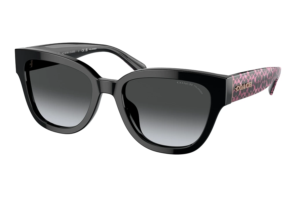 Coach   HC8379U 5002T3 Grey Gradient PolarBlack