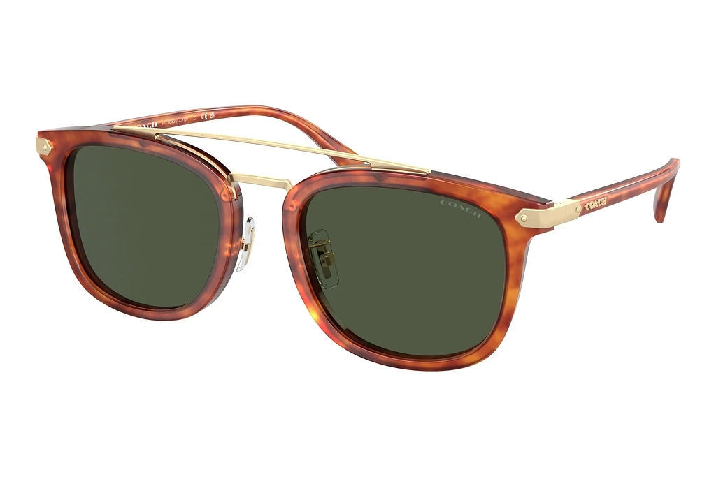Coach   HC8382 577482 Army GreenCaramel Tortoise