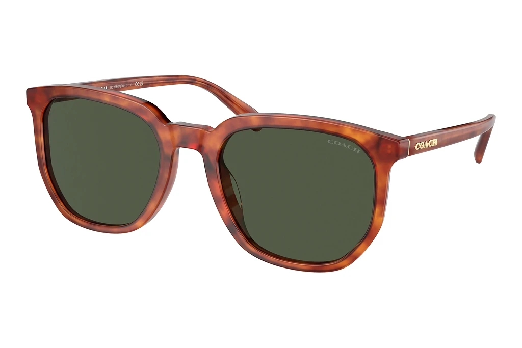 Coach   HC8384U 577482 GreenCaramel Tortoise