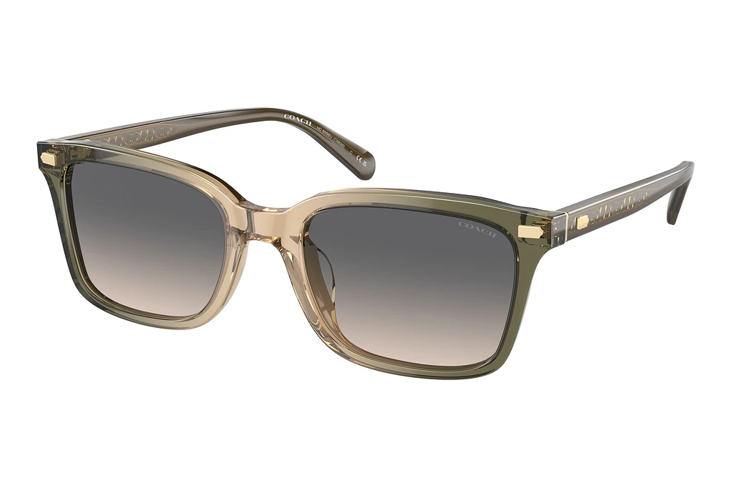 Coach   HC8398U 5797G9 Green SandOlive Tan Gradient