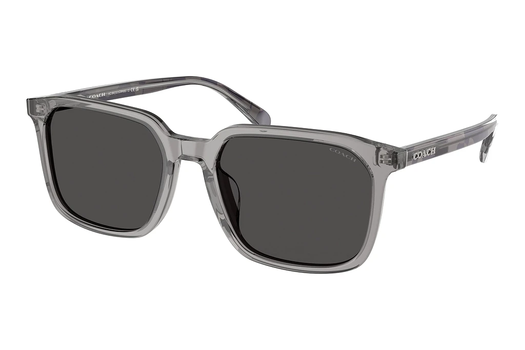 Coach   HC8411U 584987 Grey SolidTransparent Grey