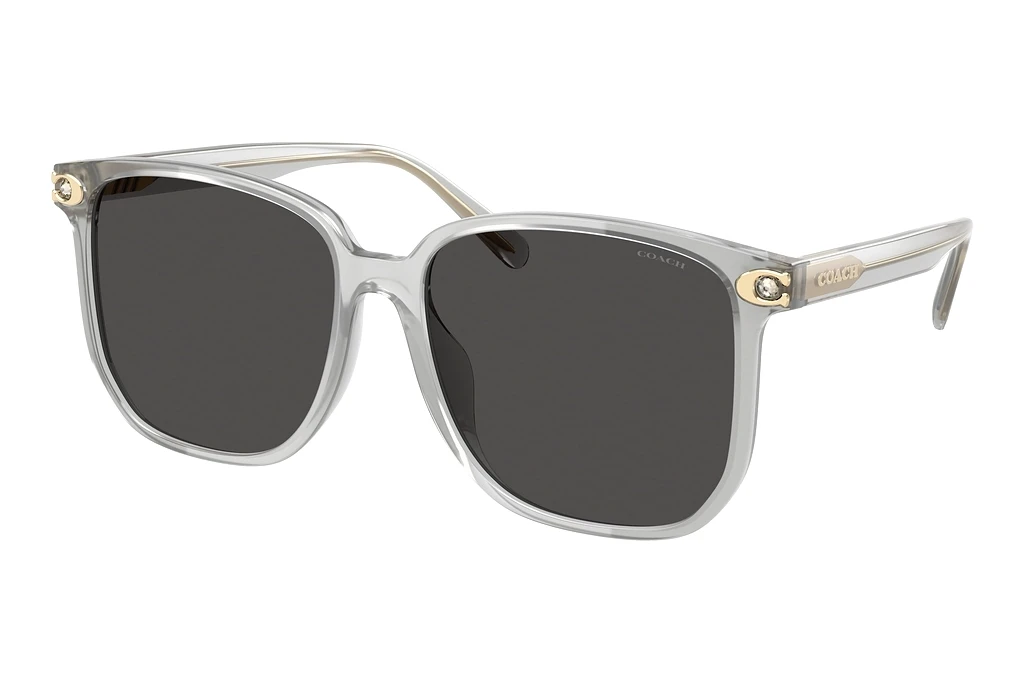 Coach   HC8413BD 561487 Grey SolidTransparent Dove