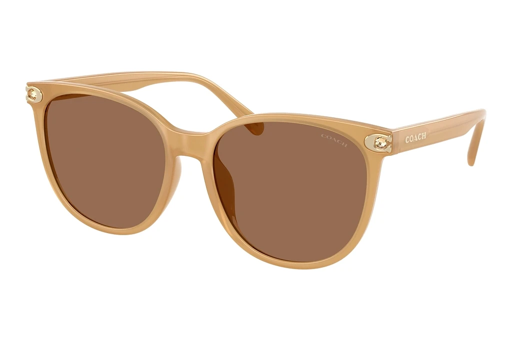 Coach   HC8414BD 585473 Brown SolidMilky Tea
