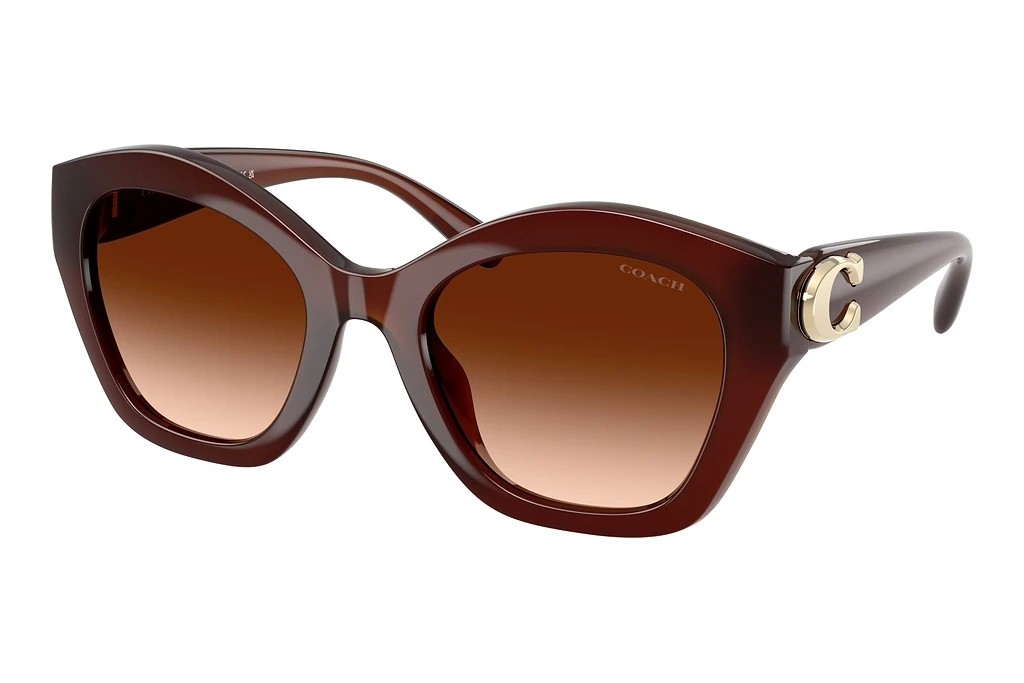 Coach   HC8421U 584174 Brown GradientMilky Hazelnut