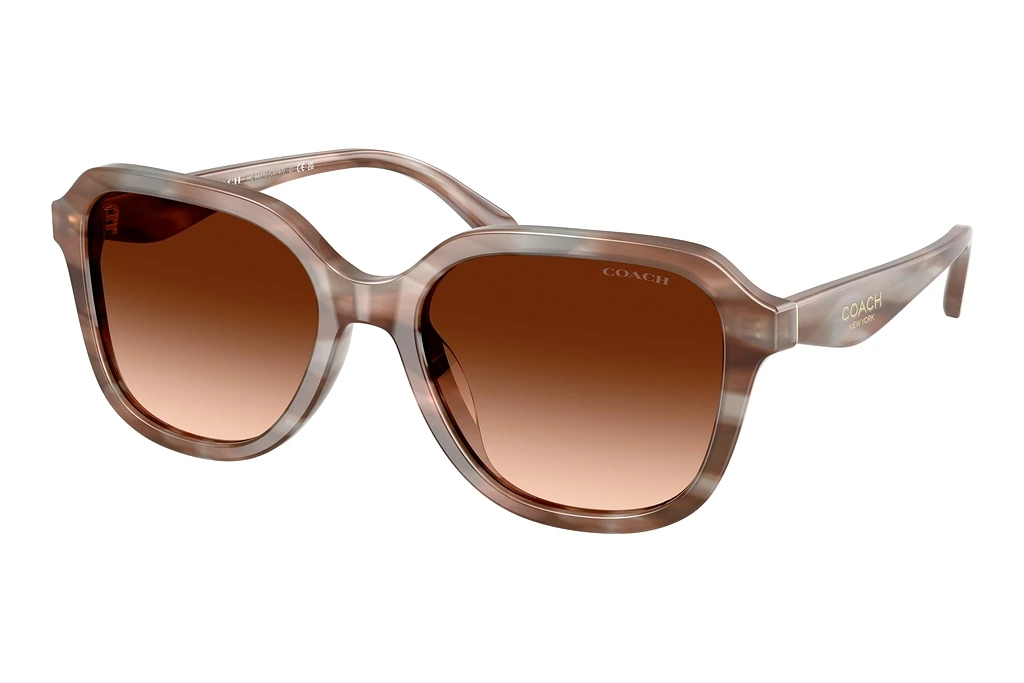 Coach   HC8437U 590174 Brown GradientStriated Redwood/Maple