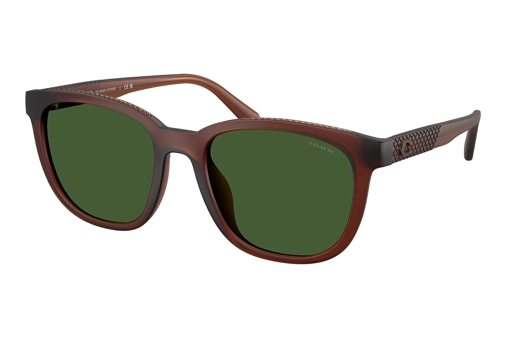 Coach   HC8442U 591171 Green SolidMatte Transparent Brown
