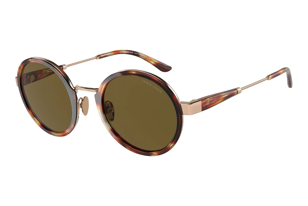 Giorgio Armani   AR6133 301173 BrownRose Gold/Tortoise