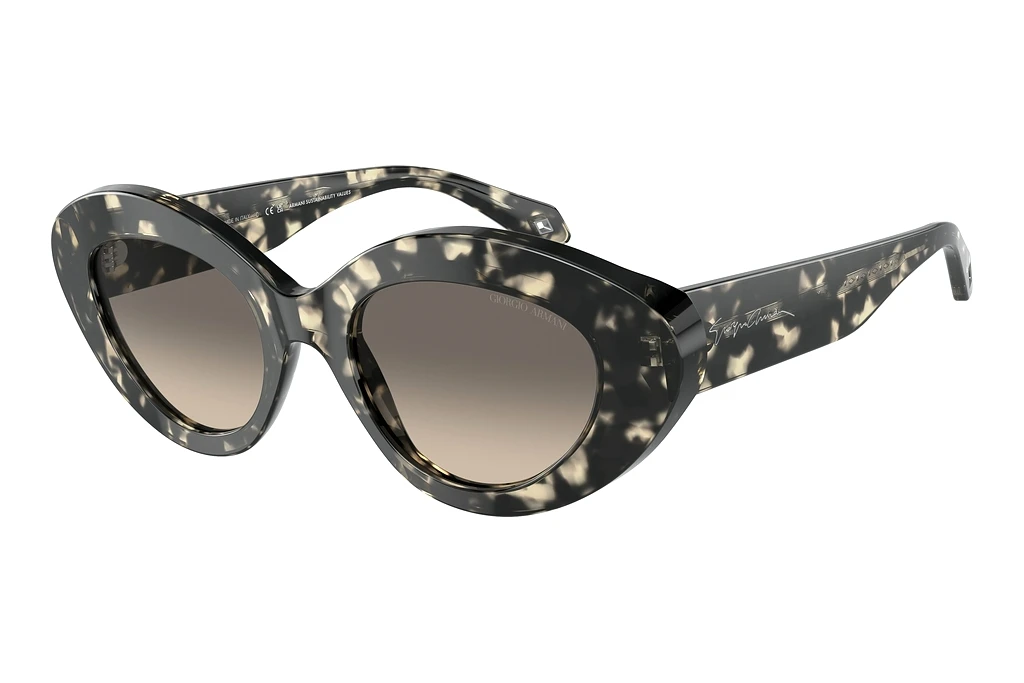 Giorgio Armani   AR8188 587332 Clear Gradient GreyGrey Havana