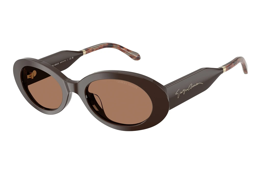 Giorgio Armani   AR8234U 622773 BrownBrown
