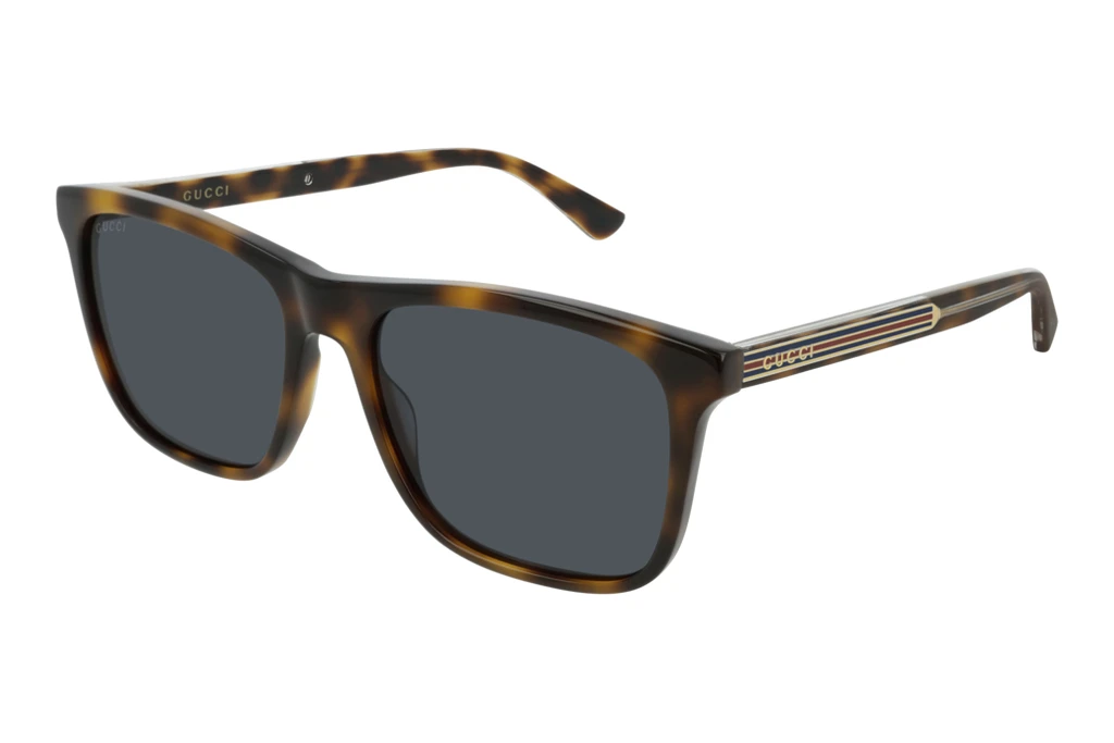 Gucci   GG0381S 009 BLUEHAVANA
