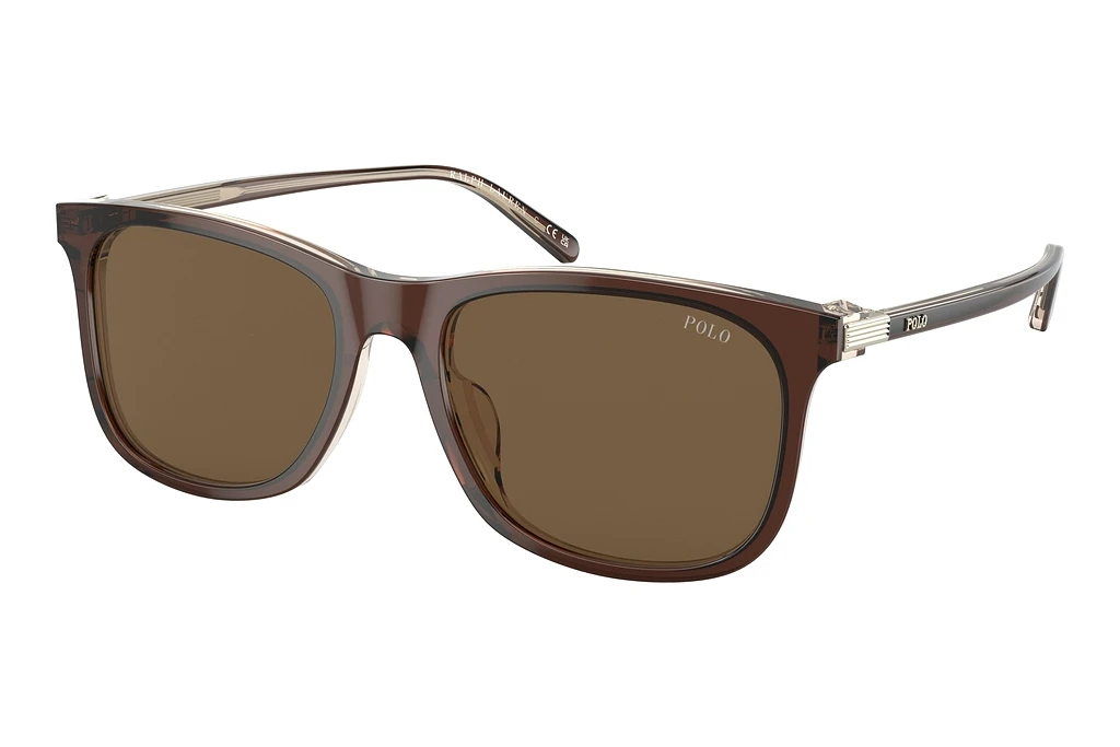 Polo   PH4186U 602973 BrownShiny Transparent Brown On Crystal