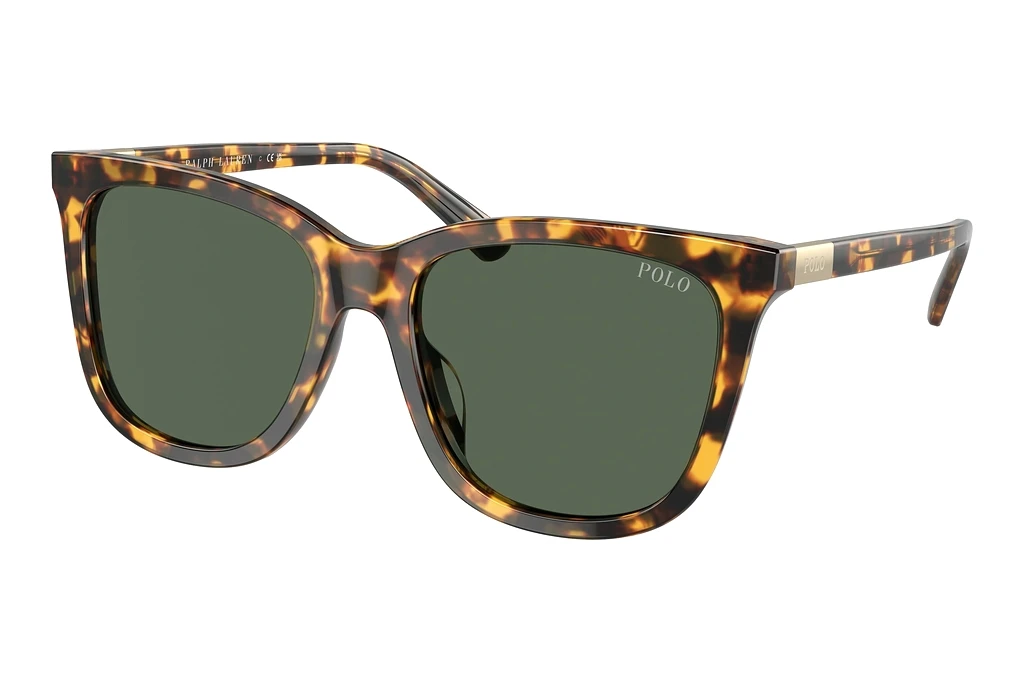 Polo   PH4201U 607871 Dark GreenShiny Havana