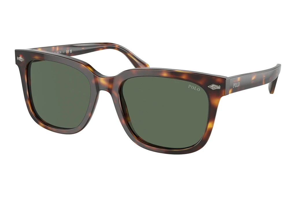 Polo   PH4210 613771 Bottle GreenShiny Brown Tortoise