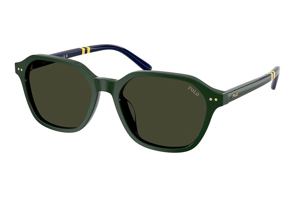 Polo   PH4234U 614082 BrownShiny Green