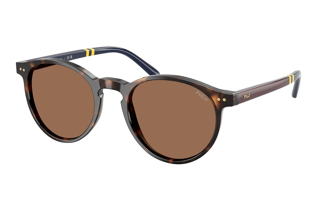 Polo   PH4236 500373 BrownShiny Dark Havana