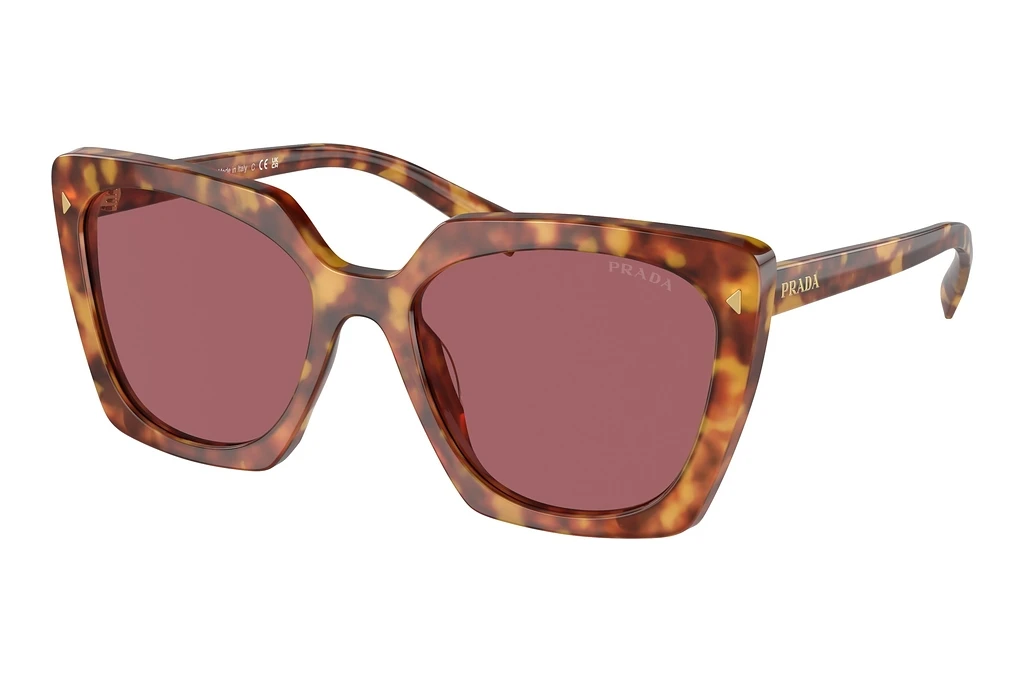 Prada   PR 23ZS 4BW08S Dark VioletLight Tortoise