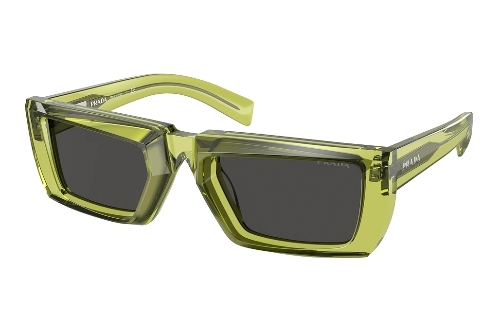 Prada   PR 24YS 19B5S0 Dark GreyCrystal Fern