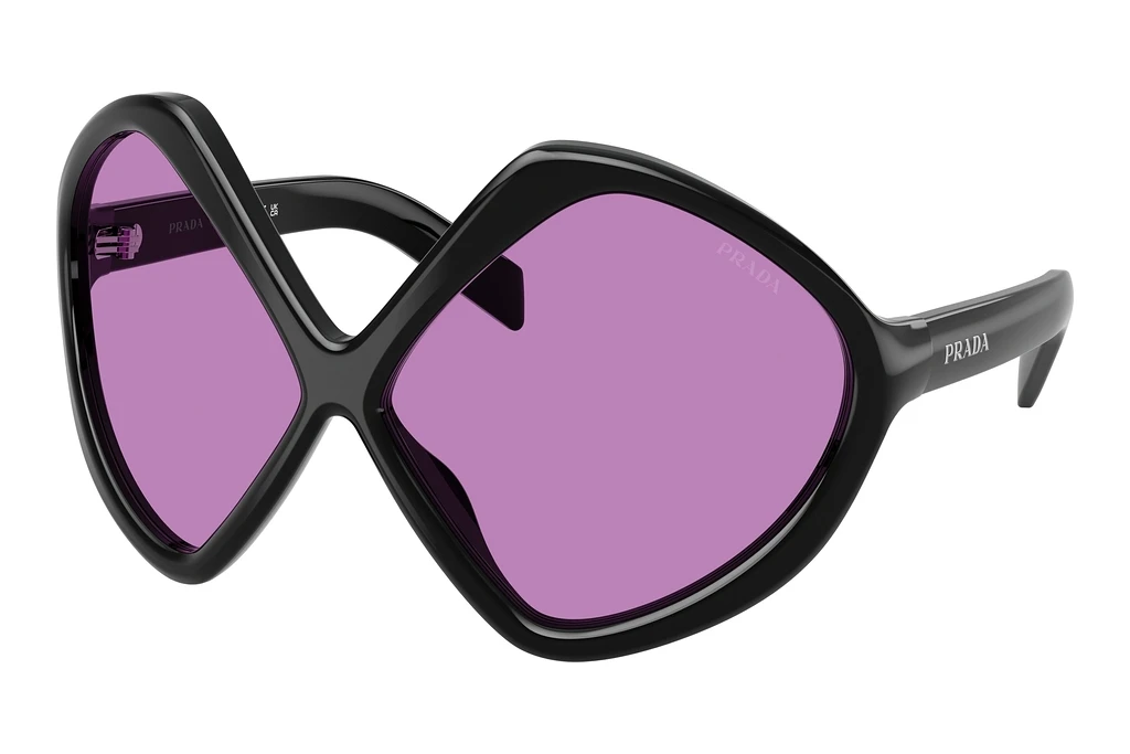 Prada   PR B21S 16K30G PurpleBlack