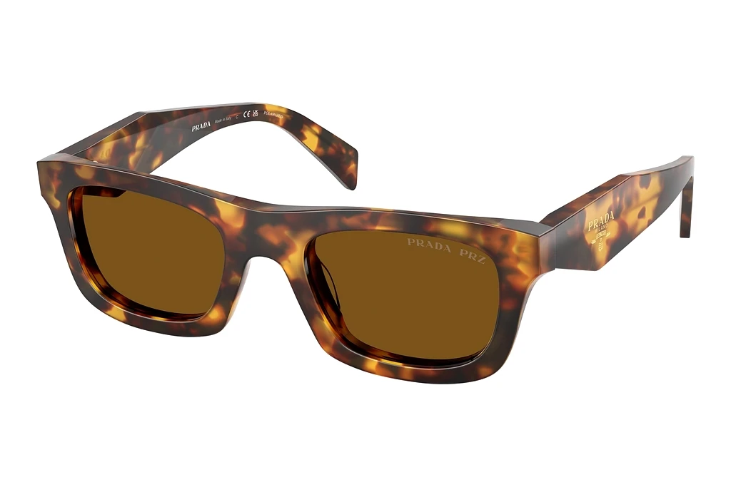 Prada   PR C06S 14L10U Dark Brown PolarHoney Tortoise