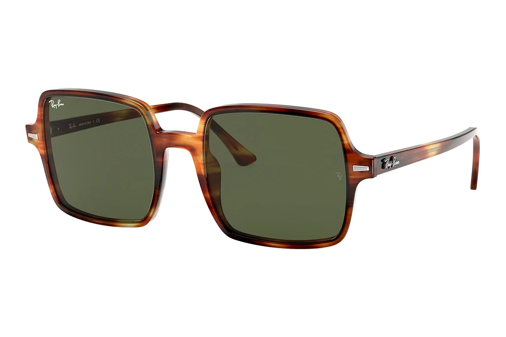 Ray-Ban   RB1973 954/31 G-15 GreenStriped Havana