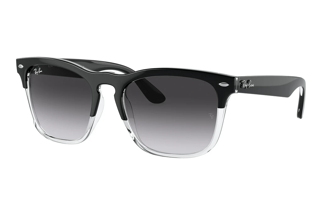 Ray-Ban   RB4487 66308G GreyBlack On Transparent