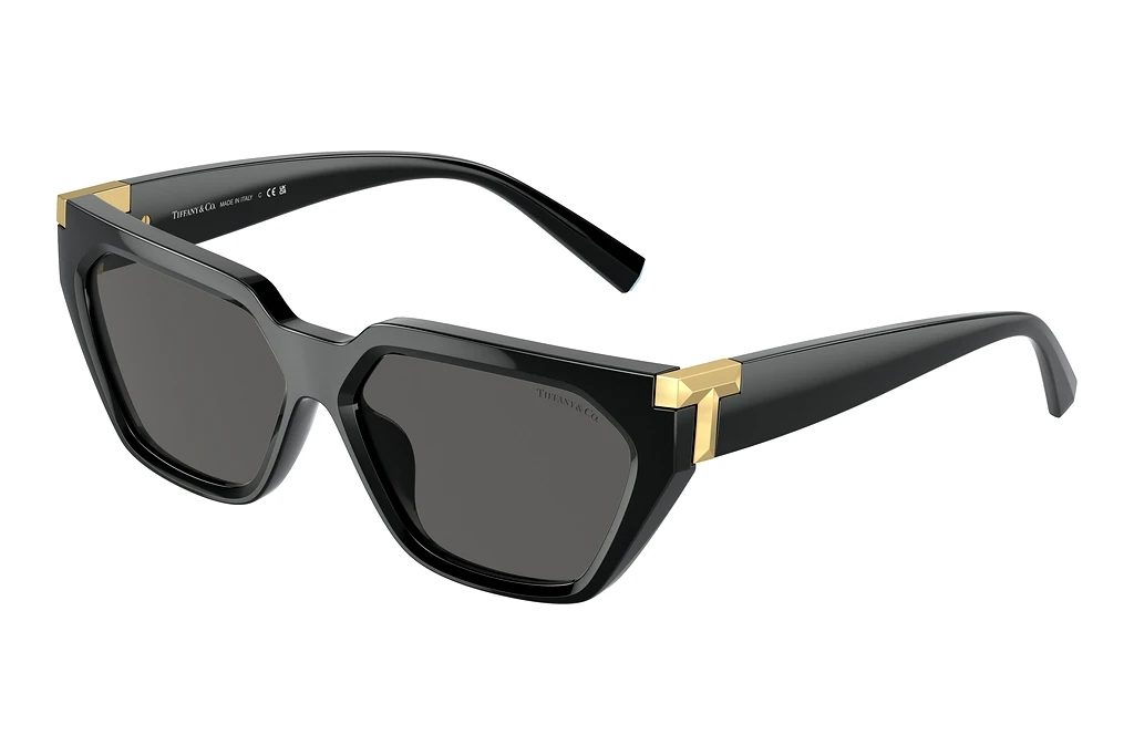 Tiffany   TF4205U 8001S4 Dark GreyBlack