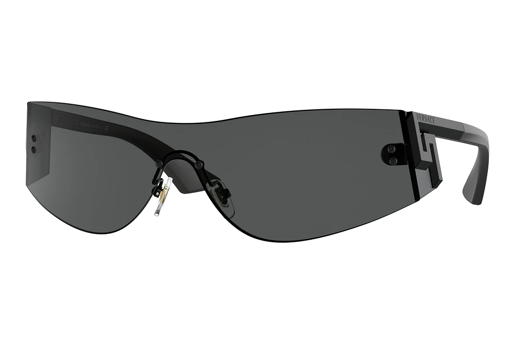 Versace   VE2241 125687 Dark GreyGrey