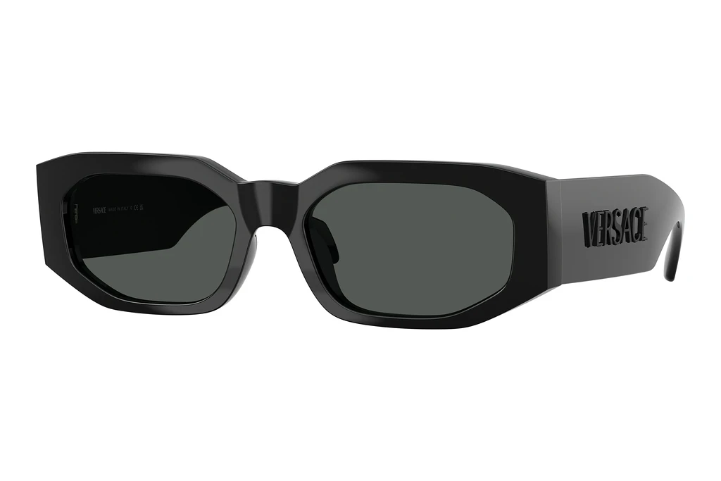 Versace   VE4489U 536087 Dark GreyBlack