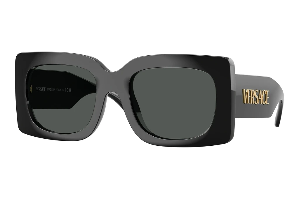 Versace   VE4496U GB1/87 Dark GreyBlack