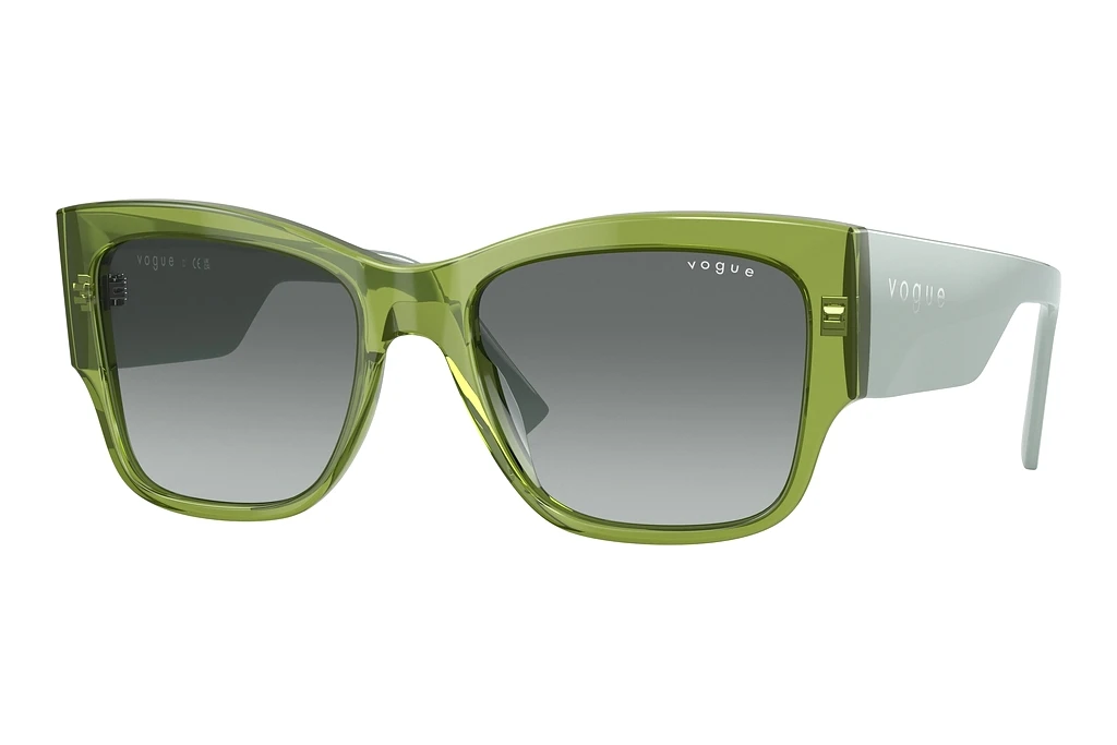 Vogue Eyewear   VO5462S 295311 Gradient GreyTransparent Green