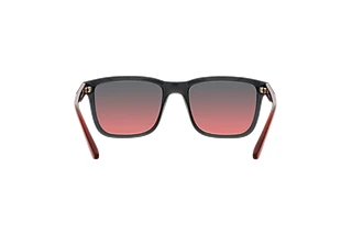 [glasses-back-view] Arnette LEBOWL (AN4321 - 278677)