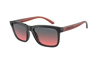 Arnette AN4321 278677