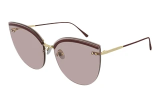 Bottega Veneta BV 0205S 004