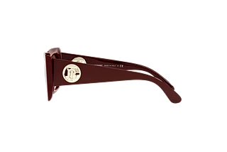 [glasses-side-view] Burberry DAISY (BE4344 - 340314)