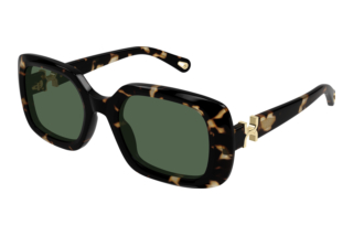 Chloé CH0333S 002 HAVANA