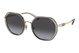 Coach CD477 HC 7141 90058G