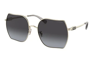 Coach CD476 HC 7142 90058G