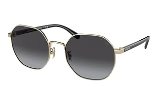 Coach HC7147 90058G Grey GradientShiny Light Gold