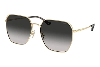 Coach HC7165D 90053C Grey GradientShiny Light Gold