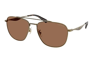 Coach HC7172 933373 Brown SolidAntique Gold