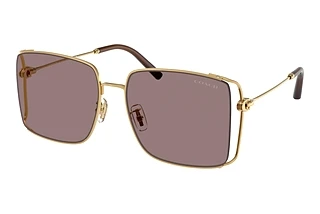 Coach HC7174D 94417N Mauve SolidShiny Gold