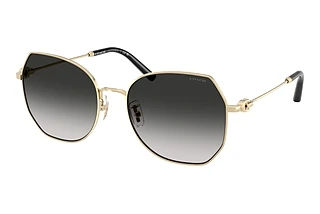 Coach HC7175 90053C Grey GradientShiny Light Gold
