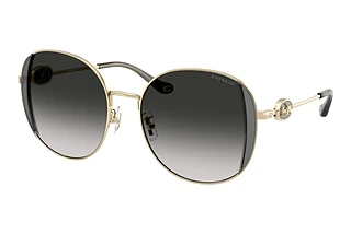 Coach HC7176B 90053C Grey GradientShiny Light Gold/Smoke