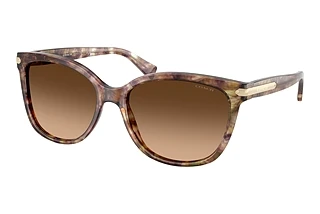 Coach HC8132 528713 Brown GradientTortoise